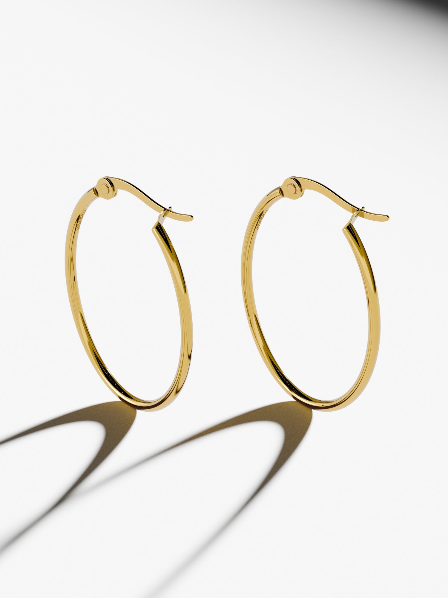EARRINGS LOOP HOOP